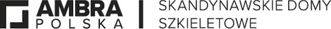 Logo firmy Ambra Polska