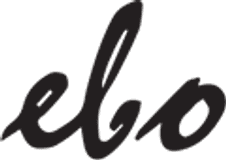 Logo firmy EBO Domki Drewniane