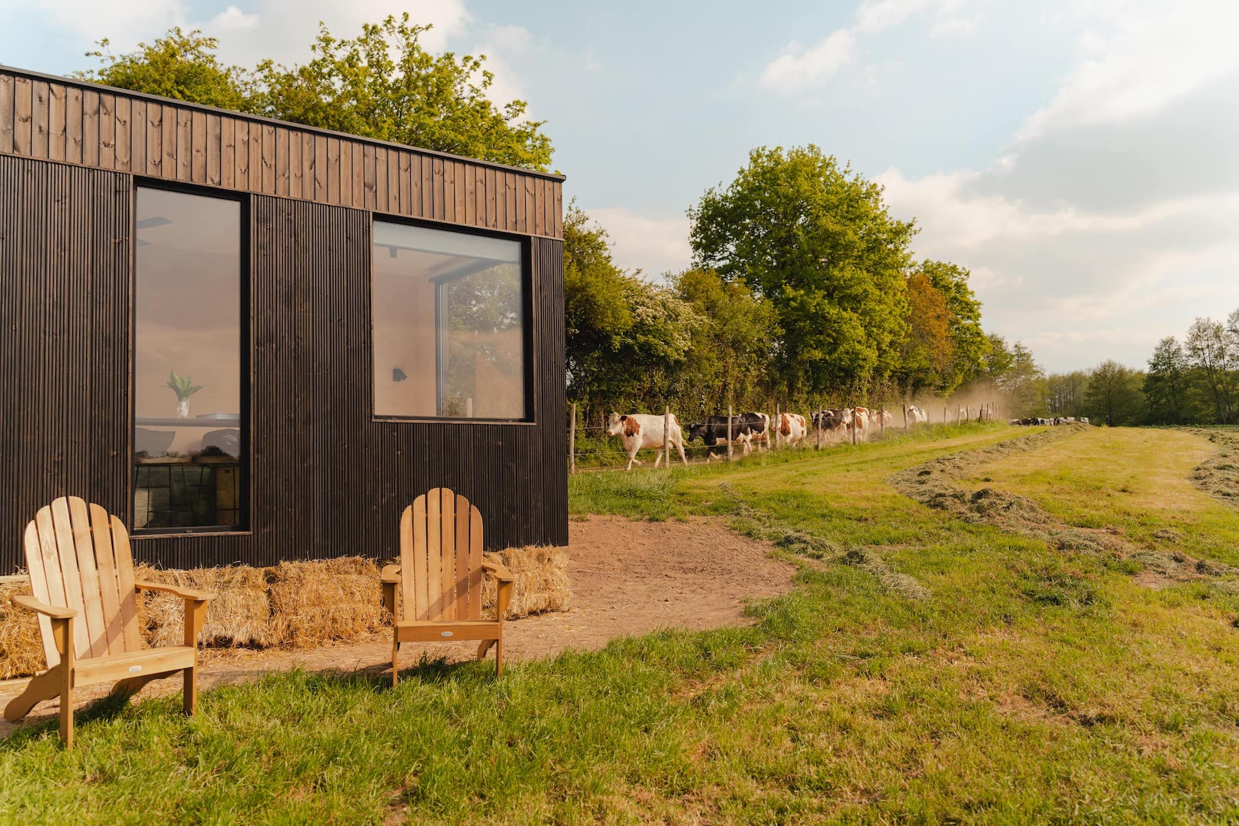 Tiny house na przyczepie Meadow Cabin (M Tiny) — 7,3 × 2,5 m, 17,5 m² — KOLELIBA LTD. (Koleliba)